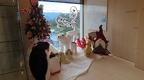 IMG 1831