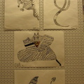 IMG 2591 (2)