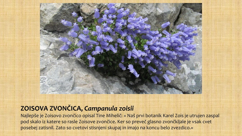 MARIJA ZUPANC-46.jpg