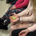 IMG 3357