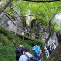 DSC01528