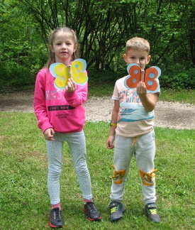 IMG 3795