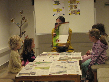 IMG 4995