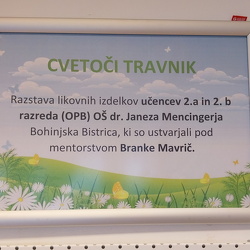 Cvetoči travnik [junij 2025]
