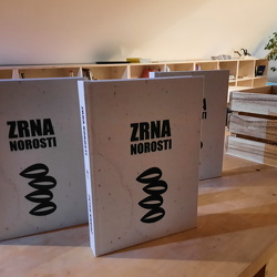 Peter Krkoč: Zrna norosti [24. oktober 2025]