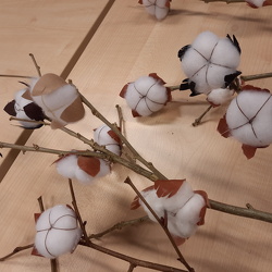 Rožnato [23. oktober 2025]