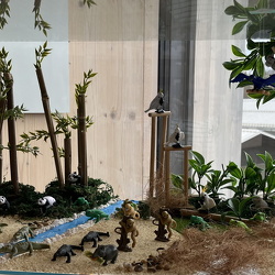 Živalska stolpnica [november 2025]