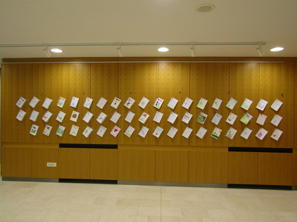 IMG 3355