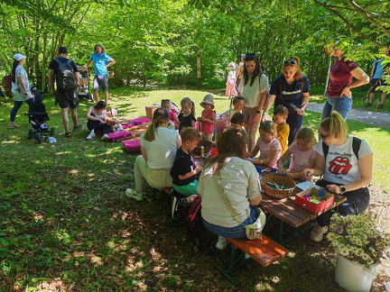 IMG 20260523 114926