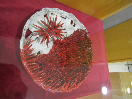 IMG 3457