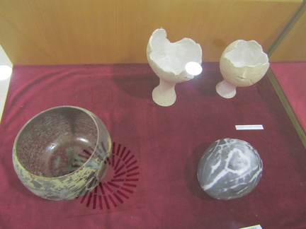 IMG 3458